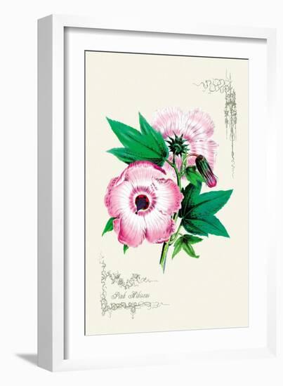 Pink Hibiscus-null-Framed Art Print