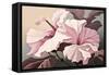 Pink Hibiscus-Lea Faucher-Framed Stretched Canvas