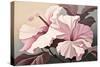 Pink Hibiscus-Lea Faucher-Stretched Canvas