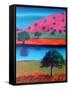 Pink Hill 2-Paul Powis-Framed Stretched Canvas