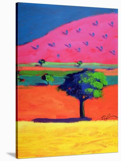 Pink Hill-Paul Powis-Stretched Canvas