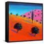 Pink Hill-Paul Powis-Framed Stretched Canvas