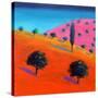 Pink Hill-Paul Powis-Stretched Canvas