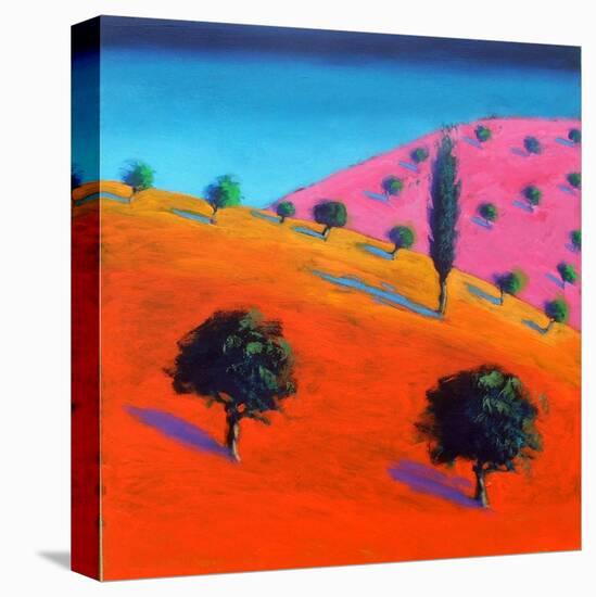 Pink Hill-Paul Powis-Stretched Canvas