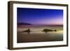 Pink Horizon 0835-Pixie Pics-Framed Giclee Print