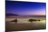 Pink Horizon 0835-Pixie Pics-Mounted Giclee Print