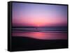 Pink Horizon-Josh Adamski-Framed Stretched Canvas