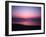 Pink Horizon-Josh Adamski-Framed Photographic Print