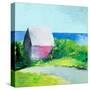 Pink House-Martha Wakefield-Stretched Canvas
