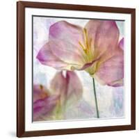 Pink Hyacinth II-Honey Malek-Framed Art Print