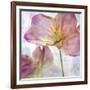 Pink Hyacinth II-Honey Malek-Framed Art Print