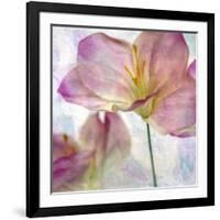 Pink Hyacinth II-Honey Malek-Framed Art Print