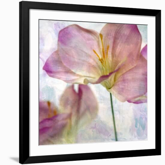 Pink Hyacinth II-Honey Malek-Framed Art Print