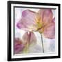 Pink Hyacinth II-Honey Malek-Framed Art Print