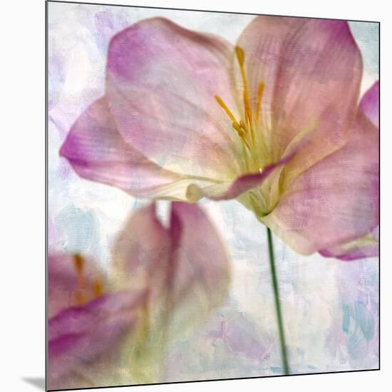 Pink Hyacinth II-Honey Malek-Mounted Art Print