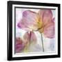 Pink Hyacinth II-Honey Malek-Framed Art Print