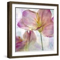 Pink Hyacinth II-Honey Malek-Framed Art Print