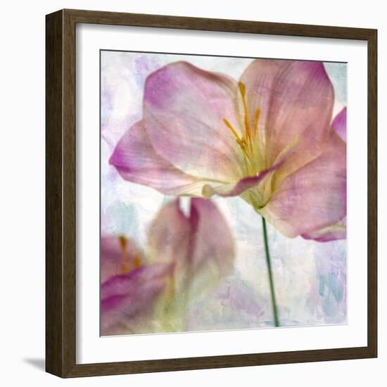 Pink Hyacinth II-Honey Malek-Framed Art Print