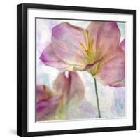 Pink Hyacinth II-Honey Malek-Framed Art Print