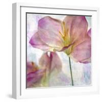 Pink Hyacinth II-Honey Malek-Framed Art Print