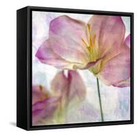 Pink Hyacinth II-Honey Malek-Framed Stretched Canvas