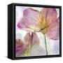 Pink Hyacinth II-Honey Malek-Framed Stretched Canvas