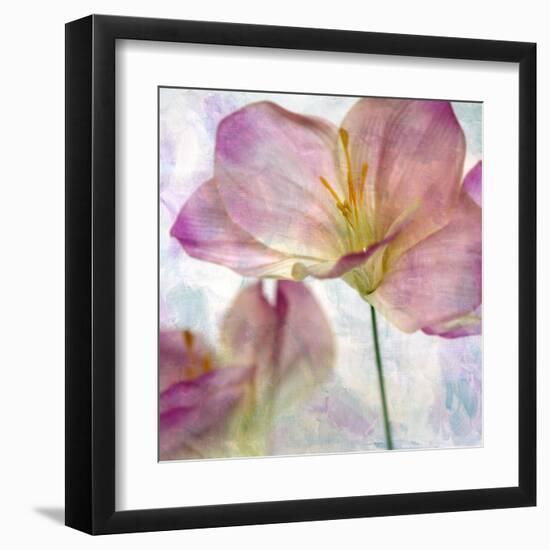 Pink Hyacinth II-Honey Malek-Framed Art Print