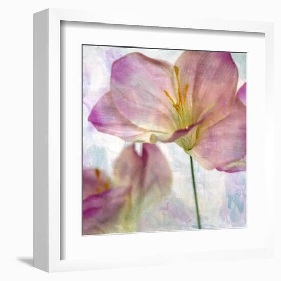 Pink Hyacinth II-Honey Malek-Framed Art Print