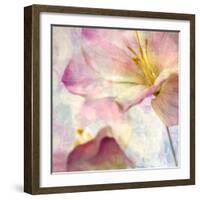 Pink Hyacinth V-Honey Malek-Framed Art Print