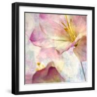 Pink Hyacinth V-Honey Malek-Framed Art Print