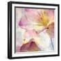 Pink Hyacinth V-Honey Malek-Framed Art Print