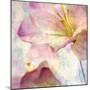 Pink Hyacinth V-Honey Malek-Mounted Art Print