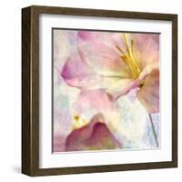 Pink Hyacinth V-Honey Malek-Framed Art Print