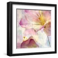 Pink Hyacinth V-Honey Malek-Framed Art Print