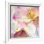 Pink Hyacinth V-Honey Malek-Framed Art Print