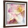 Pink Hyacinth V-Honey Malek-Framed Art Print