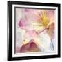 Pink Hyacinth V-Honey Malek-Framed Art Print