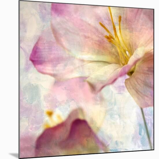 Pink Hyacinth V-Honey Malek-Mounted Art Print