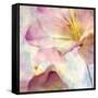 Pink Hyacinth V-Honey Malek-Framed Stretched Canvas