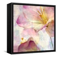 Pink Hyacinth V-Honey Malek-Framed Stretched Canvas