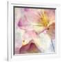 Pink Hyacinth V-Honey Malek-Framed Art Print