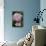 Pink Hydrangea Bloom-Anna Miller-Photographic Print displayed on a wall