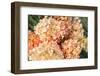 Pink Hydrangea Floral Fragment-Elen33-Framed Photographic Print