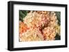 Pink Hydrangea Floral Fragment-Elen33-Framed Photographic Print