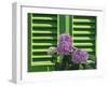 Pink Hydrangea Flowers in Front of Green Shutters of the Villa Durazzo, Liguria, Italy-Ruth Tomlinson-Framed Photographic Print