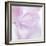 Pink Hydrangea I-Kathy Mahan-Framed Photographic Print