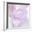Pink Hydrangea I-Kathy Mahan-Framed Photographic Print