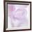 Pink Hydrangea I-Kathy Mahan-Framed Photographic Print