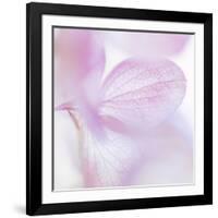 Pink Hydrangea I-Kathy Mahan-Framed Photographic Print