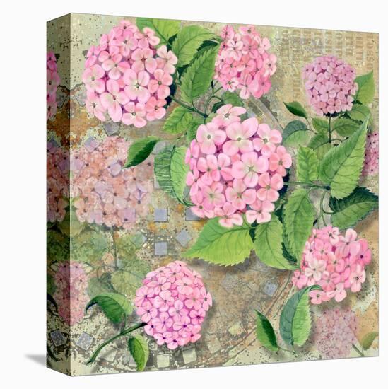 Pink Hydrangea II-Roberta Collier Morales-Stretched Canvas
